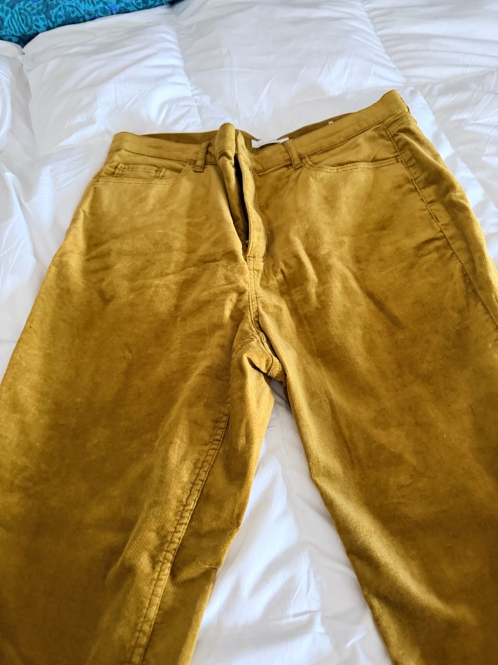 LOFT Corduroy Pants in Mustard